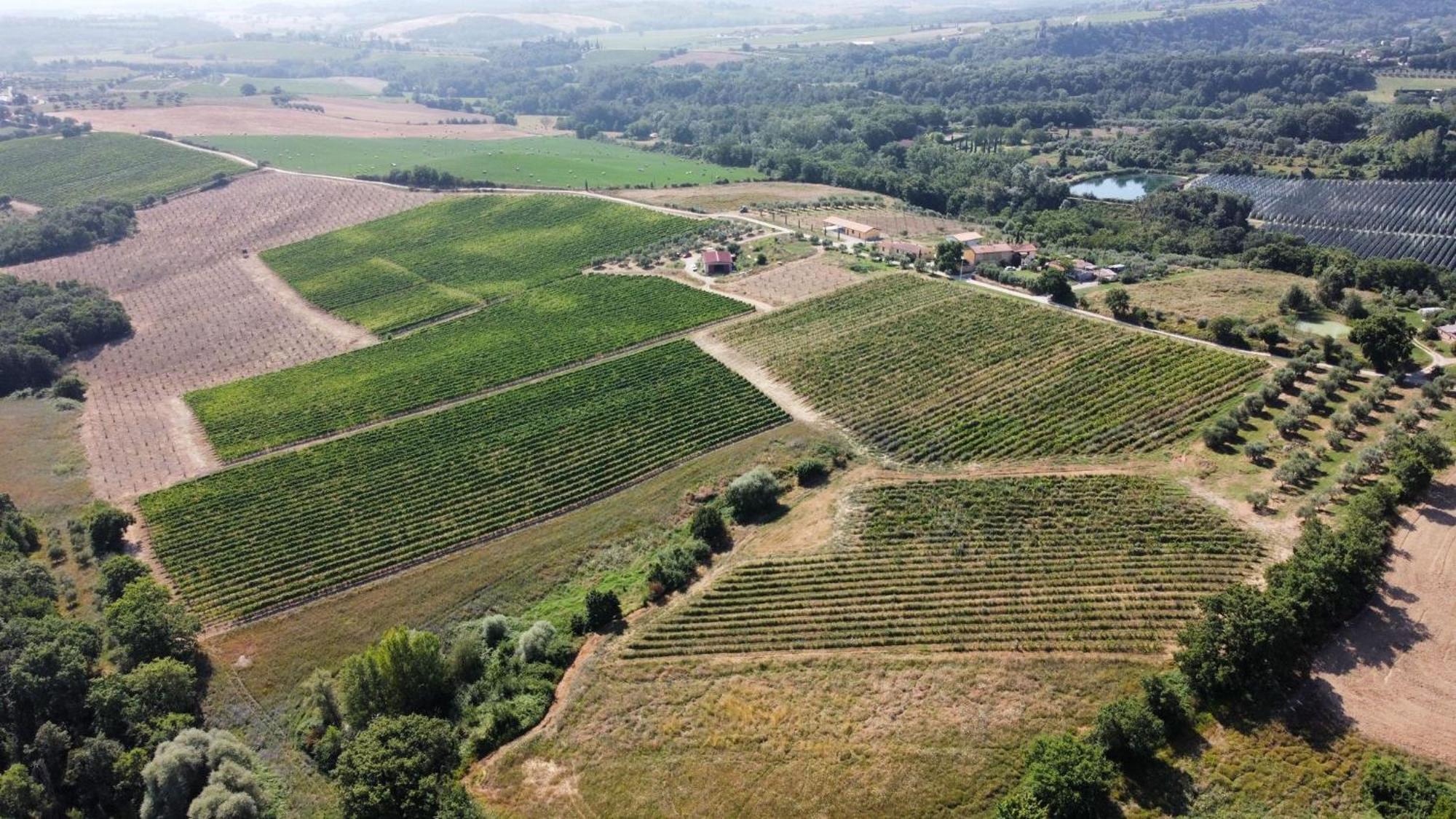 Agriturismo Podere Casa Al Vento Montepulciano Stazione Dış mekan fotoğraf