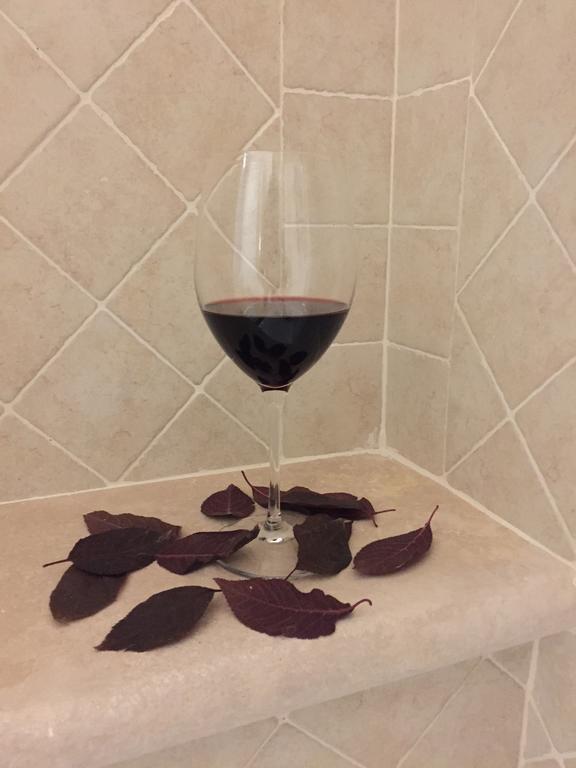Agriturismo Podere Casa Al Vento Montepulciano Stazione Dış mekan fotoğraf