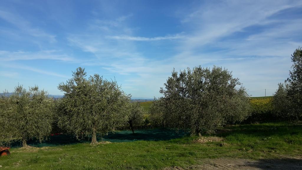 Agriturismo Podere Casa Al Vento Montepulciano Stazione Dış mekan fotoğraf