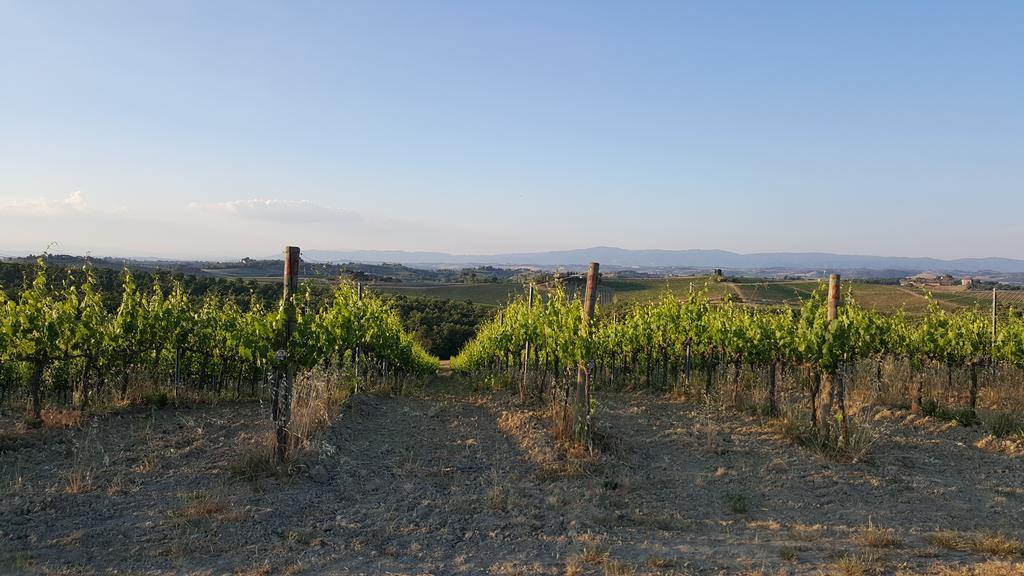 Agriturismo Podere Casa Al Vento Montepulciano Stazione Dış mekan fotoğraf