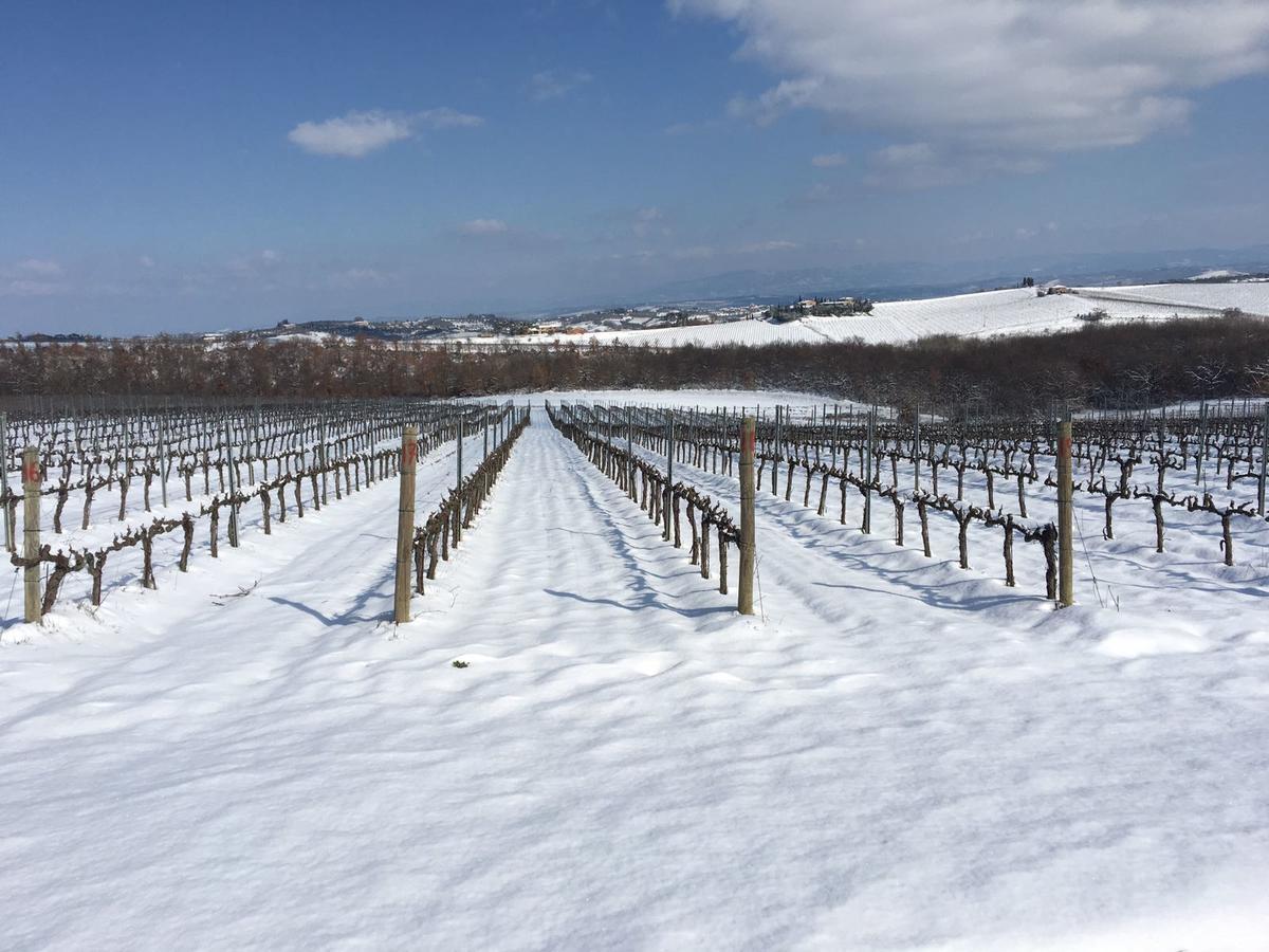 Agriturismo Podere Casa Al Vento Montepulciano Stazione Dış mekan fotoğraf