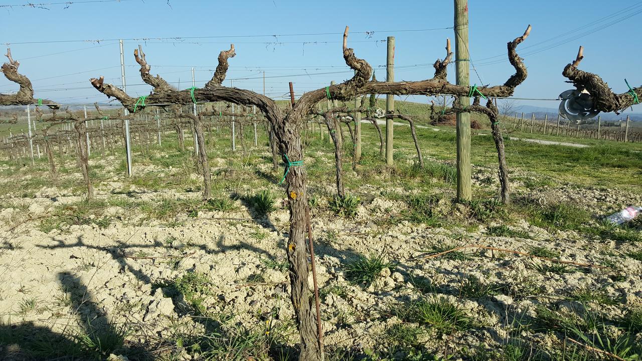 Agriturismo Podere Casa Al Vento Montepulciano Stazione Dış mekan fotoğraf